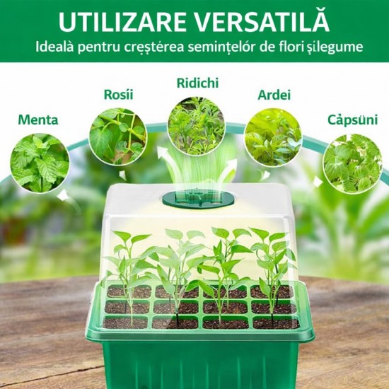 Mini-sera cu iluminare pentru 12 rasaduri – 18,5 x 15 x 14 cm, set 5 bucati